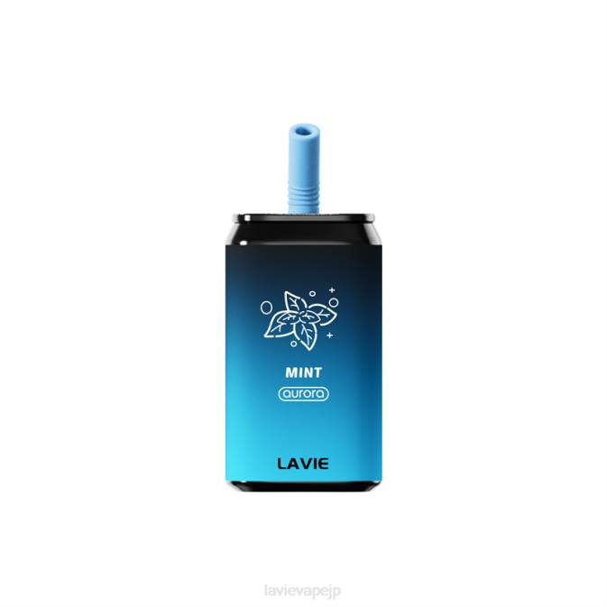 ミント LAVIE Aurora 11000パフ 260P145 | Lavie Japan